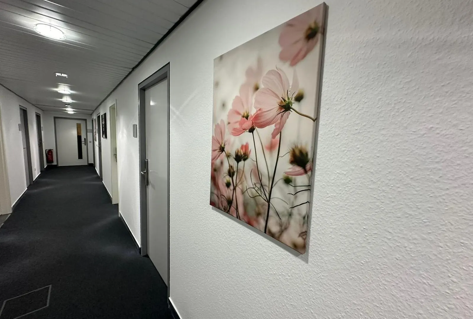 Pension Bavaria Immobilien Nuremberg